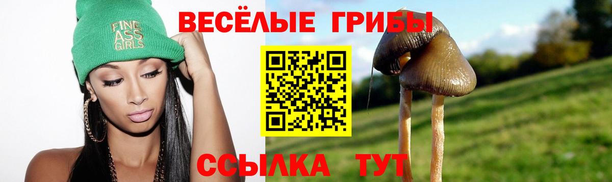Псилоцибиновые грибы Psilocybe Черкесск